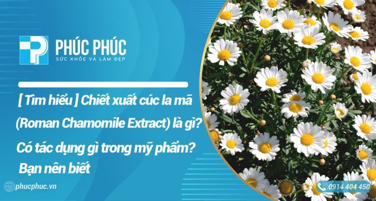 Chiết xuất hoa cúc La Mã ( Roman Chamomile Extract ) là gì? Đọc ngay bài viết dưới đây để tìm hiểu về cúc La Mã và những tác dụng tuyệt vời của nó trong các mỹ phẩm làm đẹp cho da nhé!